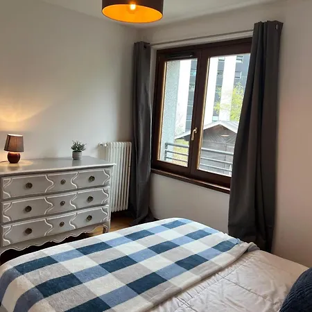 Au Cœur De Avec Parking Et Animaux Acceptés - Fr-1-343-187 Chamonix